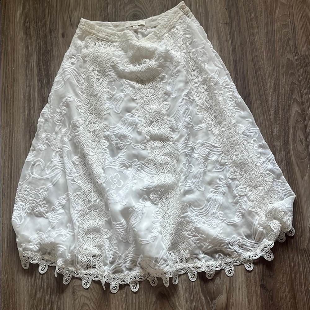 Anthropologie Midi Skirt